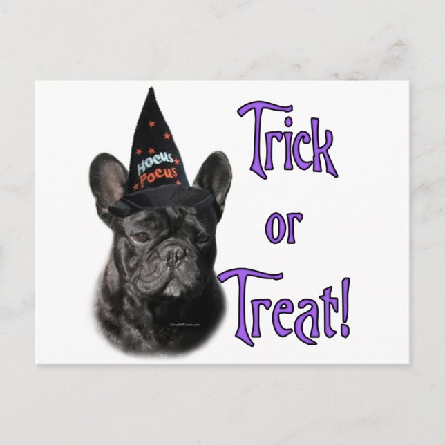 French Bulldog Trick Postcard (Front)