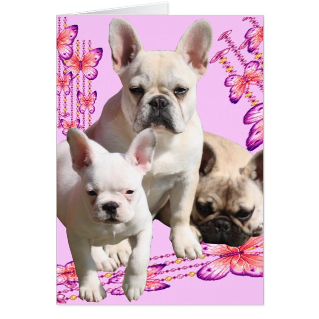 French Bulldog Trio greeting cards (Front)