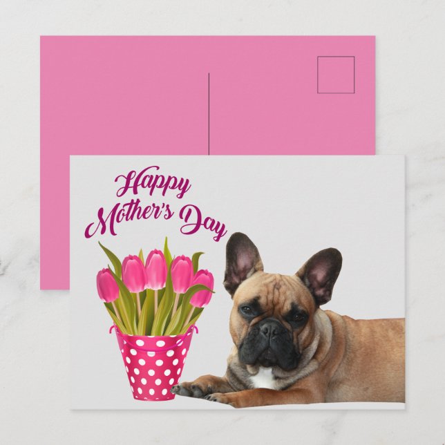 French Bulldog Tulips French Bulldog Postcard (Front/Back)