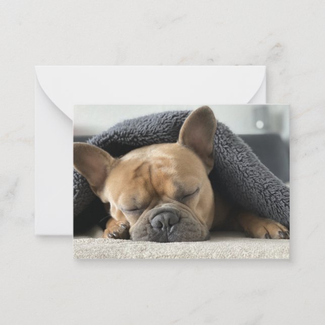 french bulldog under blanket   card (Front)