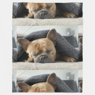 french bulldog under blanket fleece blanket