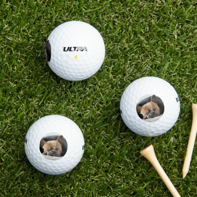 french bulldog under blanket   golf balls (Insitu Grass)