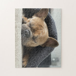 french bulldog under blanket jigsaw puzzle