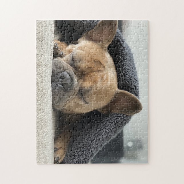 french bulldog under blanket   jigsaw puzzle (Vertical)