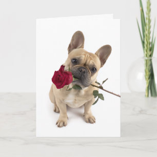 French Bulldog Valentine Card