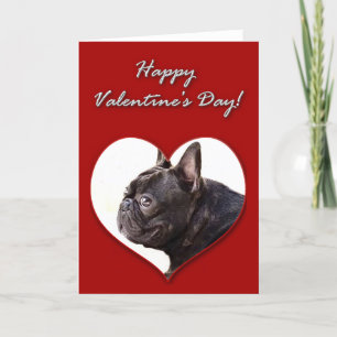French bulldog Valentines Day Card