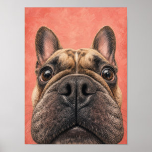French Bulldog Wall Art — Funny Big Nose Close-Up 