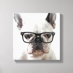 French Bulldog Wearing Black Eye Glasses Canvas Print