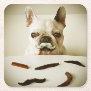 French Bulldog With A Moustache Square Paper Coaster