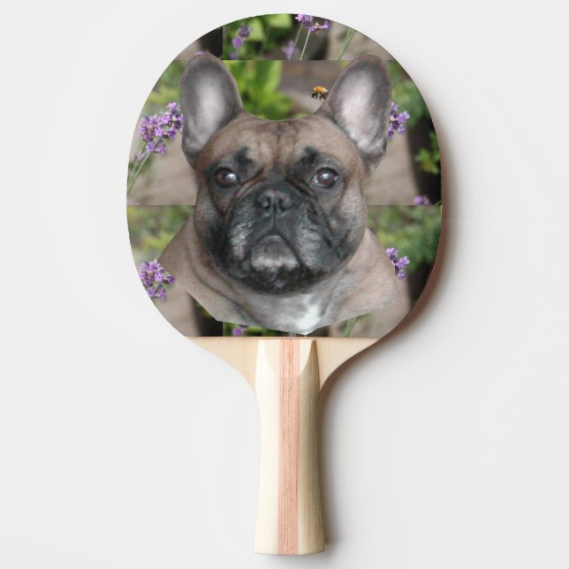 French Bulldog with bee Ping Pong Paddle (Front)