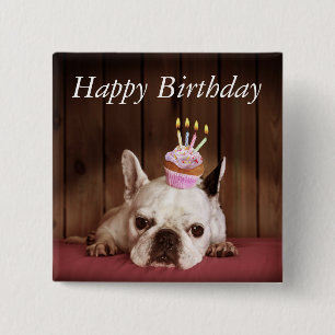 French Bulldog With Birthday Cupcake 15 Cm Square Badge