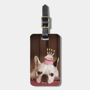 French Bulldog With Birthday Cupcake Luggage Tag
