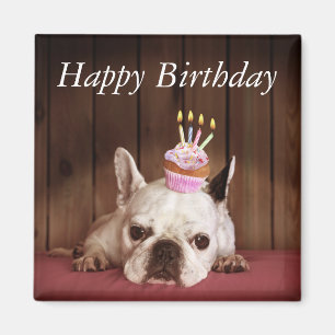 French Bulldog With Birthday Cupcake Magnet