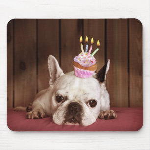 French Bulldog With Birthday Cupcake Mouse Mat