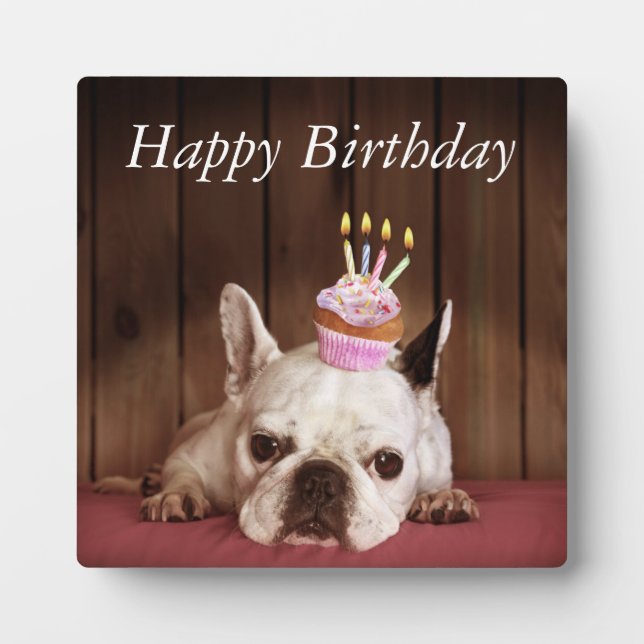 French Bulldog With Birthday Cupcake Plaque (Front)