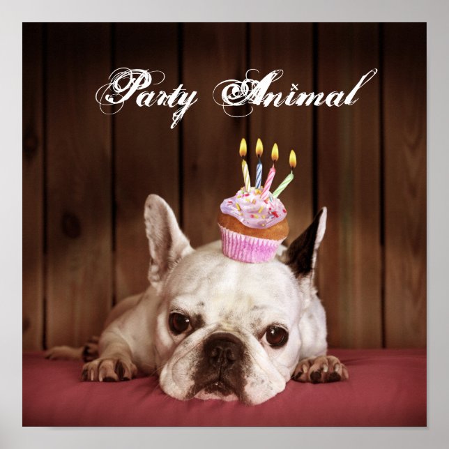 French Bulldog With Birthday Cupcake Poster (Front)