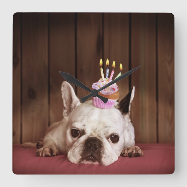 French Bulldog With Birthday Cupcake Square Wall Clock (Front)