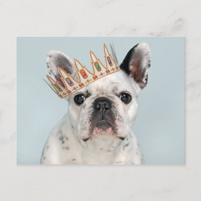French Bulldog with Crown Postcard (Front)