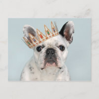 French Bulldog with Crown
