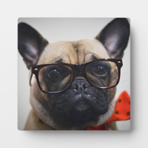 French Bulldog With Glasses And Bow Tie Plaque