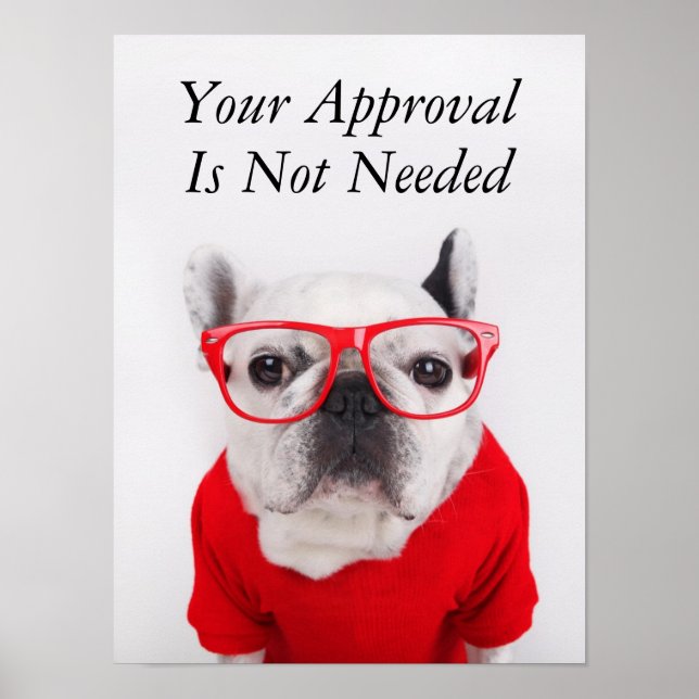 French Bulldog With Glasses And Red Shirt Poster (Front)