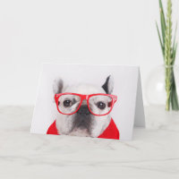 French Bulldog with Glasses and Shirt