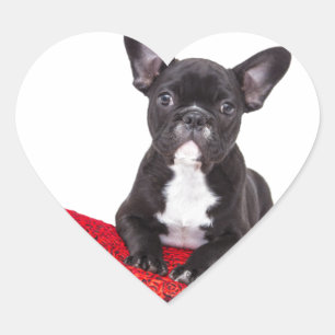 French Bulldog with heart and nice quote Heart Sticker