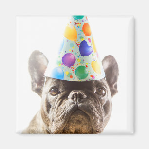 French Bulldog with Party Hat Magnet