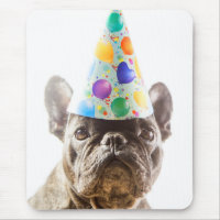 French Bulldog with Party Hat