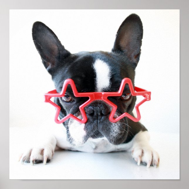 French Bulldog With Red Star Glasses Poster (Front)