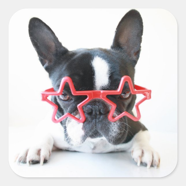 French Bulldog With Red Star Glasses Square Sticker (Front)
