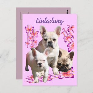 French bulldog with three bulldoggs postcard