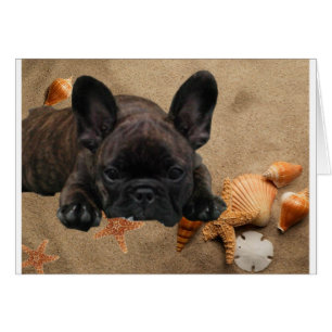 French. Bulldogge Card