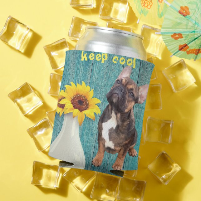 French bulldogge drinks cooler (In Situ Summer)