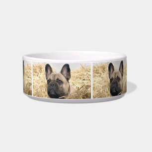 French Bulldogge Futternapf Bowl