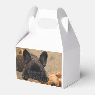 French Bulldogge gift box