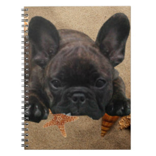 French Bulldogge Notebook