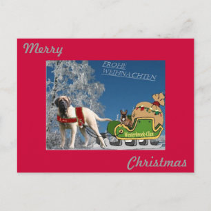French Bulldogge postcard glad Christmas