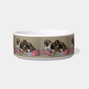 French Bulldoggen Futternapf Bowl
