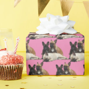 French Bulldoggen gift paper