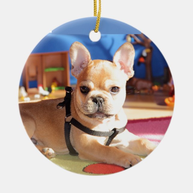 French Bulldoggen Ornament (Front)