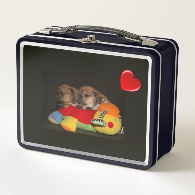 French Bulldoggen puppies Brotdose Metal Lunch Box (Front)