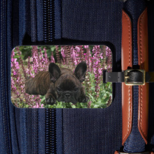 French Bulldoggen trunk Luggage Tag