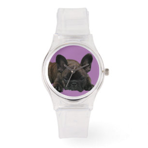 French bulldoggen watch