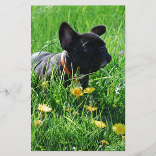 French Bulldoggen writing paper