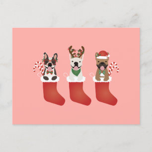 French Bulldogs Christmas Stockings Postcard