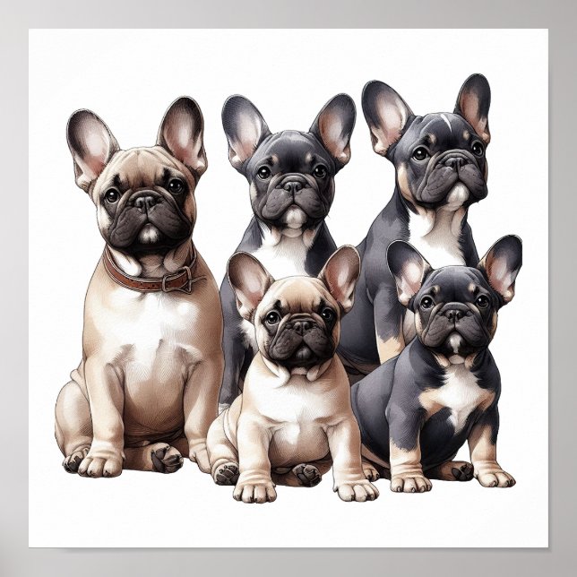 French Bulldogs Poster (Front)