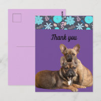 French Bulldogs thank you French Bulldog