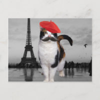 French Cat in Paris