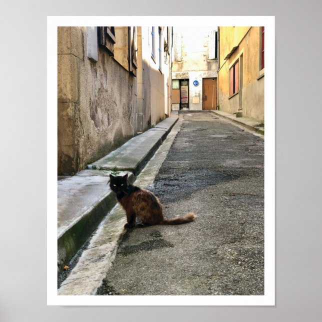 French Cat Poster (Front)